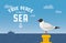 Seagull vector illustration. Sea gull at a mooring bollard on ocean background. Seagull at the shore with quote True Piece is Only