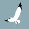 Seagull vector illustration style Flat