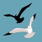 Seagull vector illustration style Flat set