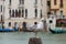 Seagull in Venice