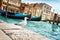 Seagull in Venice, Italy