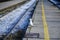 Seagull walks along the platform of the railway station