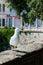 Seagull on a wall of Miramare Castle in Trieste