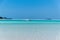 Seagull at Whitehaven Beach II