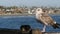 Seagull on wooden pier railings. Bird close up in Oceanside. California. Beachfront houses.