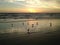 Seagulls on Atlantic Ocean Beach during Dawn.