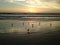 Seagulls on Atlantic Ocean Beach during Dawn.