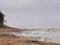 Seagulls on Baltic sea coast