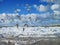 Seagulls and Baltic sea in winter, Lithuania