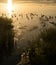 Seagulls bathing in the Laguna Madre sunset