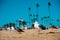 Seagulls on the beach around Long Beach, California. California is known as warm and nice wether. The world is big enough