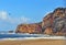 Seagulls on the beach of Nazare