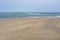 Seagulls on Beautiful Cape Cod Beach