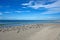 Seagulls on Beautiful Florida Coastline