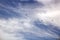 Seagulls and birds hovering in the sky against a background of white and colorful clouds and a coastline.