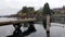 Seagulls on a boat dock enjoying an overcast day on Lake Washington