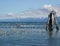 Seagulls, a boat, and a pier pillar