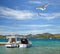 Seagulls and boats in Nature park Telascica.Croatia.