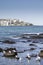 Seagulls at Bondi Beach, Australia