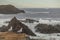 Seagulls Cliffside and Iceberg