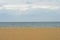 Seagulls congregated on sandy beach