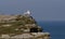 Seagulls couple tintagel