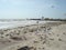 Seagulls on a deserted sea shore in autumn