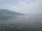 Seagulls in Dianchi Lake, Kunming, Yunnan