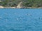 Seagulls at `do Forno` oven Beach