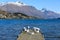 Seagulls on dock at Lake Wakatipu