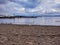 Seagulls and ducks on the beach of Lake Washington