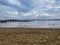 Seagulls and ducks on the beach of Lake Washington near the boat docks