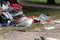 Seagulls Exploring Colorful Trash after Pride Parade in Helsinki