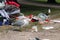 Seagulls Exploring Colorful Trash after Pride Parade in Helsinki