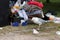 Seagulls Exploring Colorful Trash after Pride Parade in Helsinki