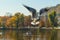 Seagulls in flight over water with a wide wingspan.