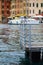 Seagulls on a floating dock in the golf of Portofino