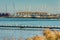 Seagulls flock rests on a wooden pier or jetty. A pretended black cat on the boardwalk among the birds seems to cause no trouble