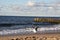 Seagulls fly on the shores of the Baltic Sea.