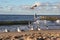 Seagulls fly on the shores of the Baltic Sea.