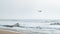 Seagulls flying along shoreline at beach on a foggy day with mist over the ocean.