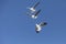 Seagulls flying on a blue sky