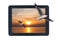 Seagulls flying out of picture sunsets in tablet