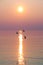 Seagulls Flying over Shimmering Lake at Sunset