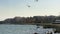 Seagulls flying by the sea in a small seaside town