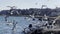 Seagulls flying by the sea in a small seaside town