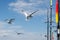 Seagulls follow a fishing boat. Fishing rods and blue sky with thin white clouds in background