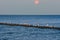 Seagulls on a groyne in the Baltic Sea. Waves at sunset. Coast by the sea. Animal