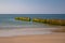 Seagulls on a groyne near Kampen