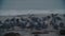 Seagulls huddle together on a wet, misty morning: Natural Bridges State Beach